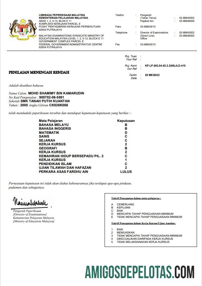 Em branco modelo de certificado do Ministério da Educação da Malásia em formato Word e PDF